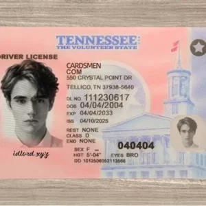 Tennessee Fake ID (2025 Version)