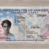 Fake America Passport Card
