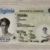 Virginia Fake ID (2025 Version)