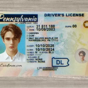 Pennsylvania Fake ID (2025 Version)