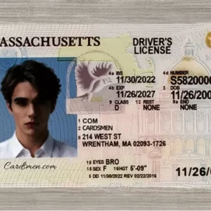 Massachusetts IDs