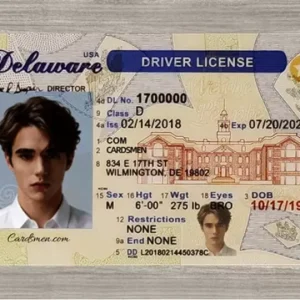 Delaware IDs