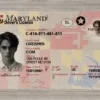 Maryland IDs